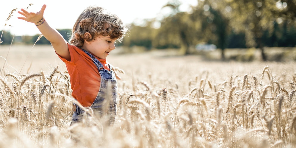 Benefici dei Fermenti Lattici per la Salute dei Bambini