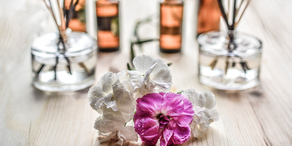 Fiori di Bach: cosa sono, proprietà e caratteristiche