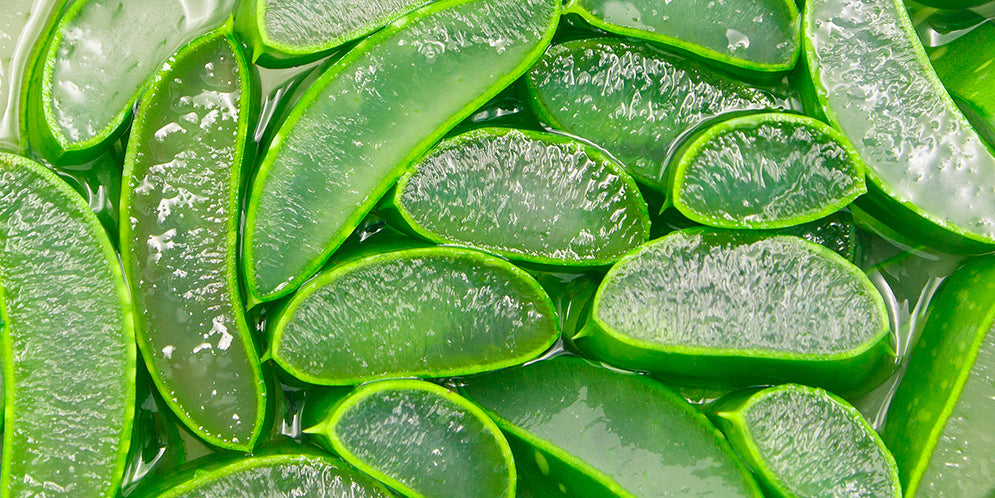 Succo di Aloe Vera: benefici, usi e controindicazioni