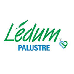 LEDUM