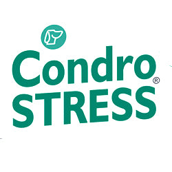 CONDROSTRESS