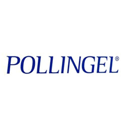 POLLINGEL