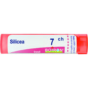 Boiron Silicea Granuli 07Ch Tubo 4g