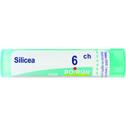 Boiron Silicea Granuli 06Ch Tubo 4g