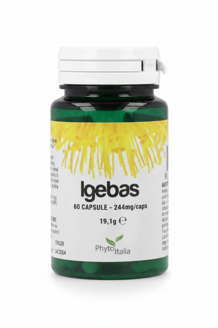 Igebas 60 capsule