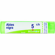 Abies nigra 5ch 80gr 4g