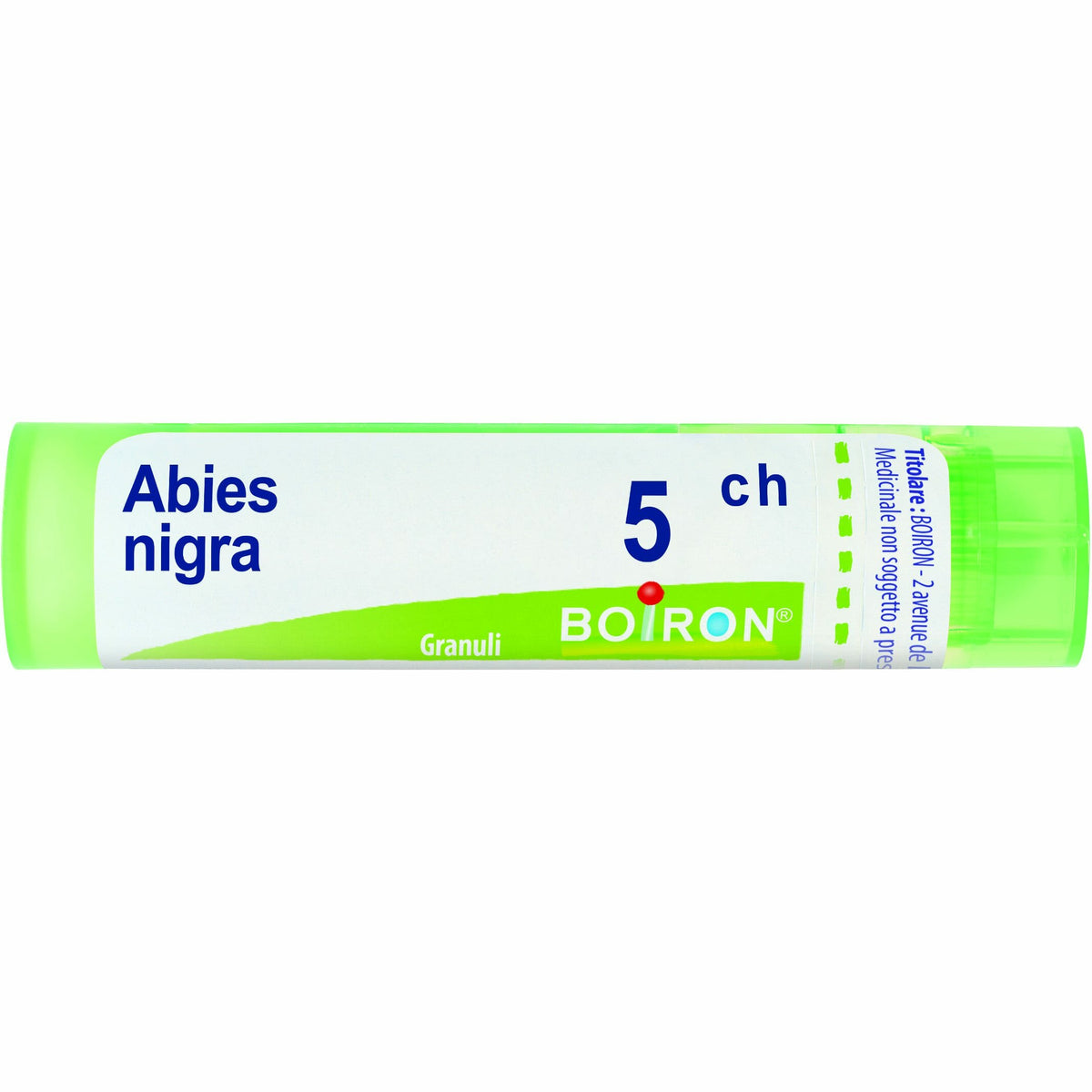 Abies nigra 5ch 80gr 4g