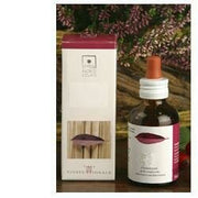 Abies pectinata 50ml stv