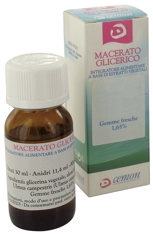 Acer campestre gemme mg 30ml