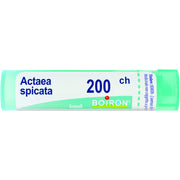 Actaea spic boi 200ch 80gr 4g