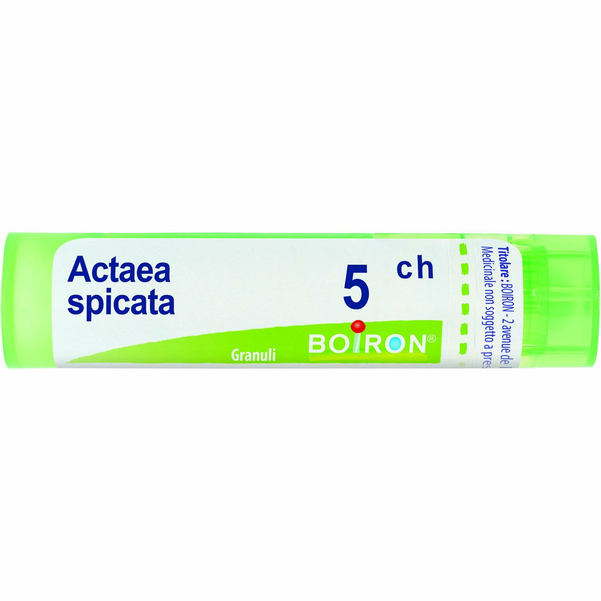 Actaea spicata 5ch 80gr 4g
