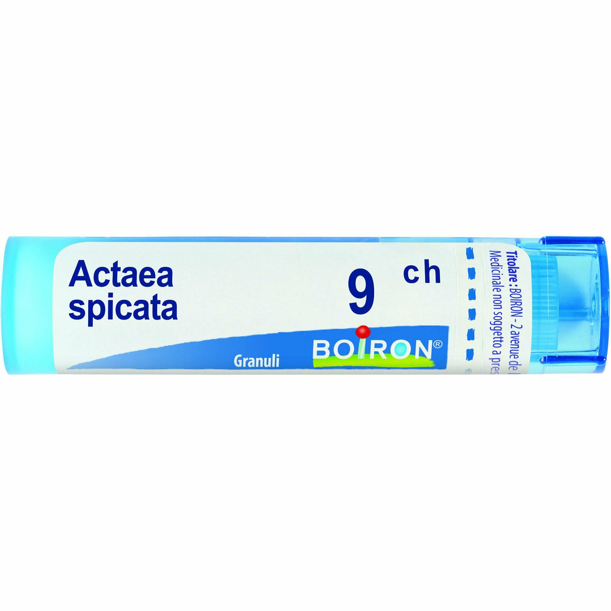 ACTAEA SPICATA*9CH 80GR 4G