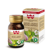 Aglio biancospino olivo 60 perle