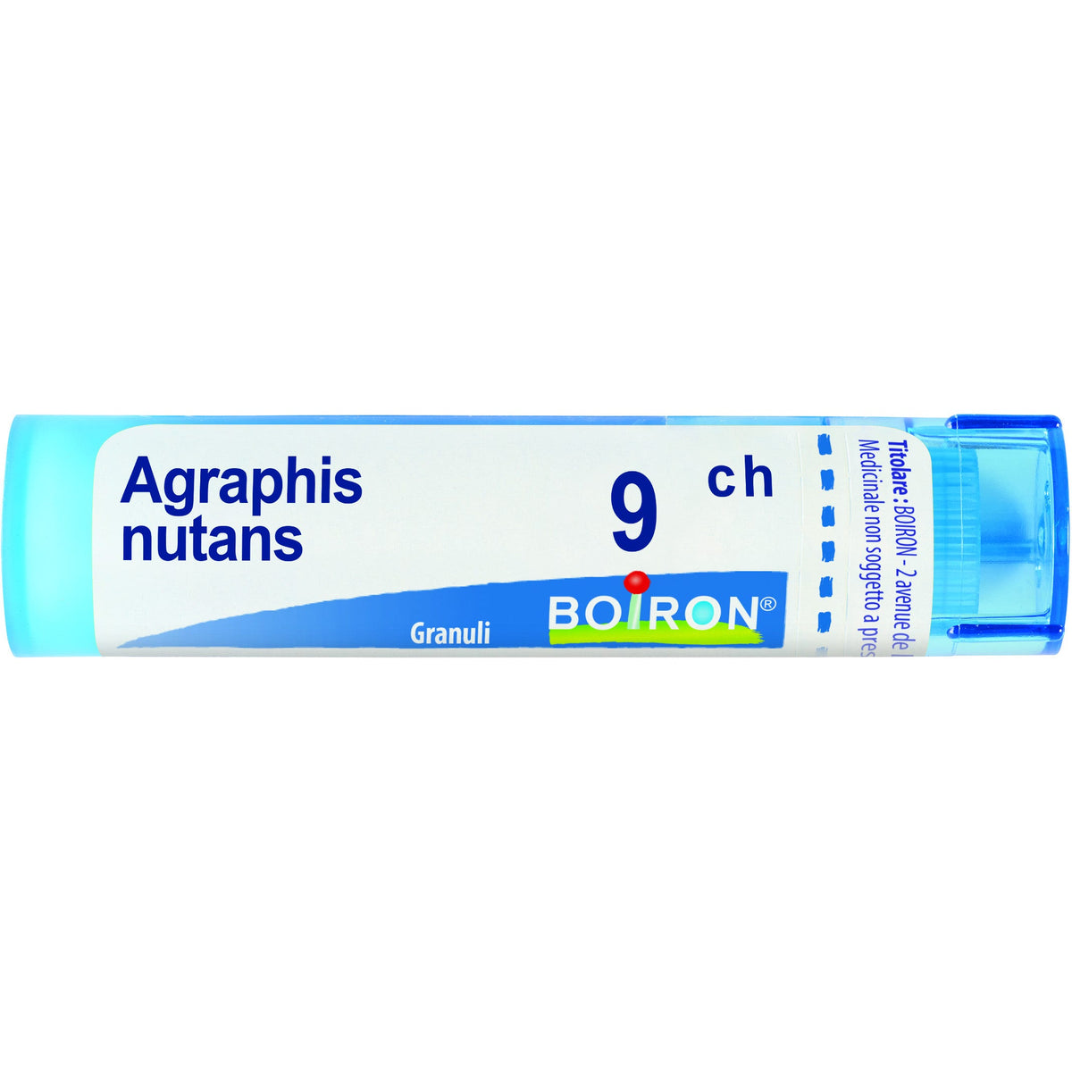 Agraphis nut boi 9ch 80gr 4g