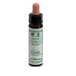 Ainsworths cerato 10ml
