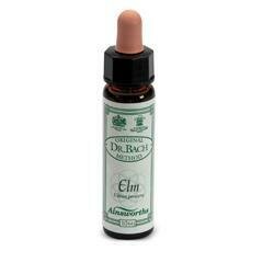 Ainsworths elm 10ml