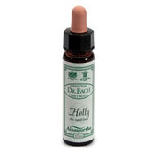 Ainsworths holly 10ml