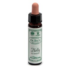 Ainsworths holly 10ml