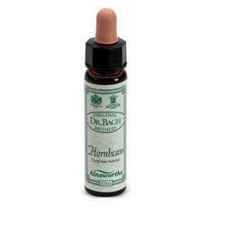 Ainsworths hornbeam 10ml