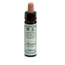 Ainsworths mustard 10ml