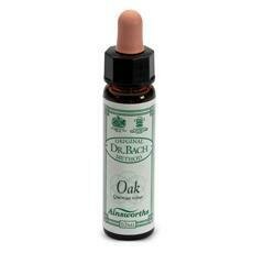 Ainsworths oak 10ml