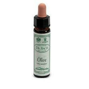 Ainsworths olive 10ml