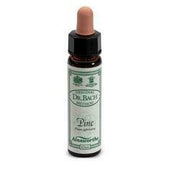 Ainsworths pine 10ml
