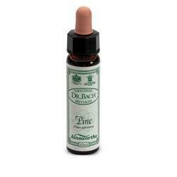 Ainsworths pine 10ml