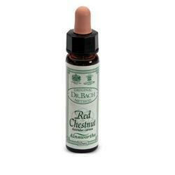 Ainsworths red chestnut 10ml