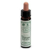 Ainsworths vervain 10ml