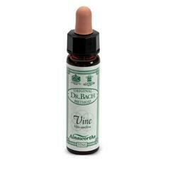 Ainsworths vine 10ml