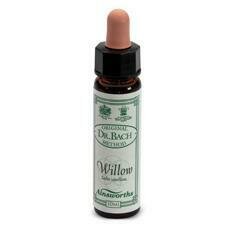 Ainsworths willow 10ml