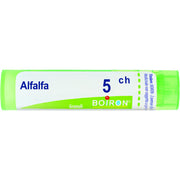 Alfalfa medicago 5ch gr