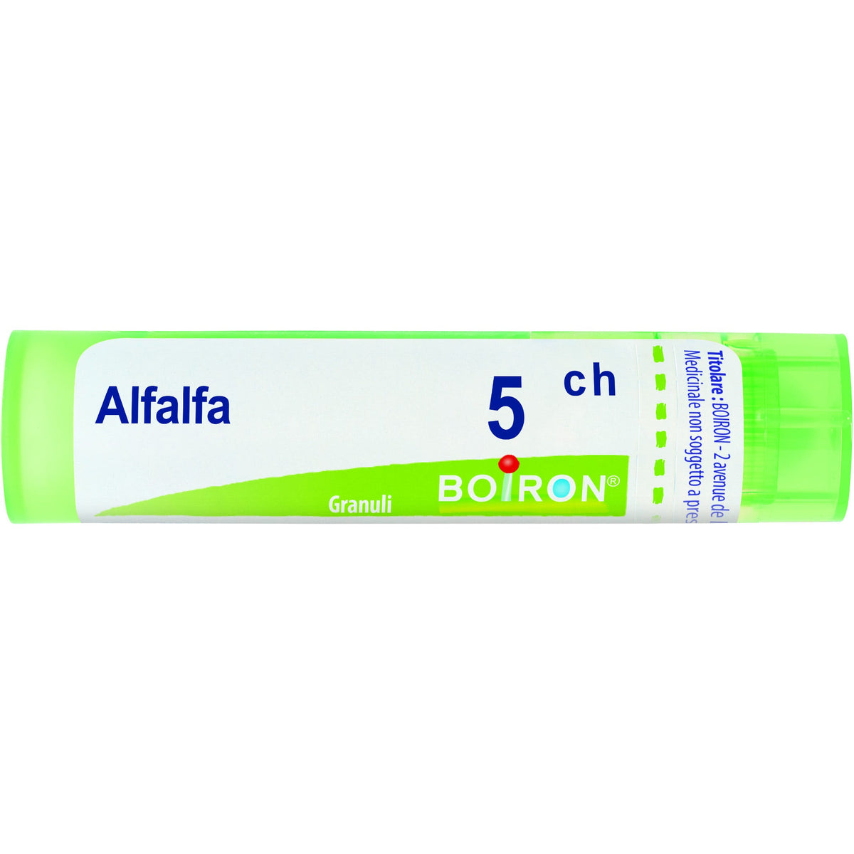 Alfalfa medicago 5ch gr