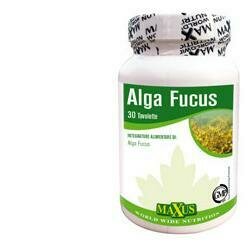 Alga fucus 30 capsule