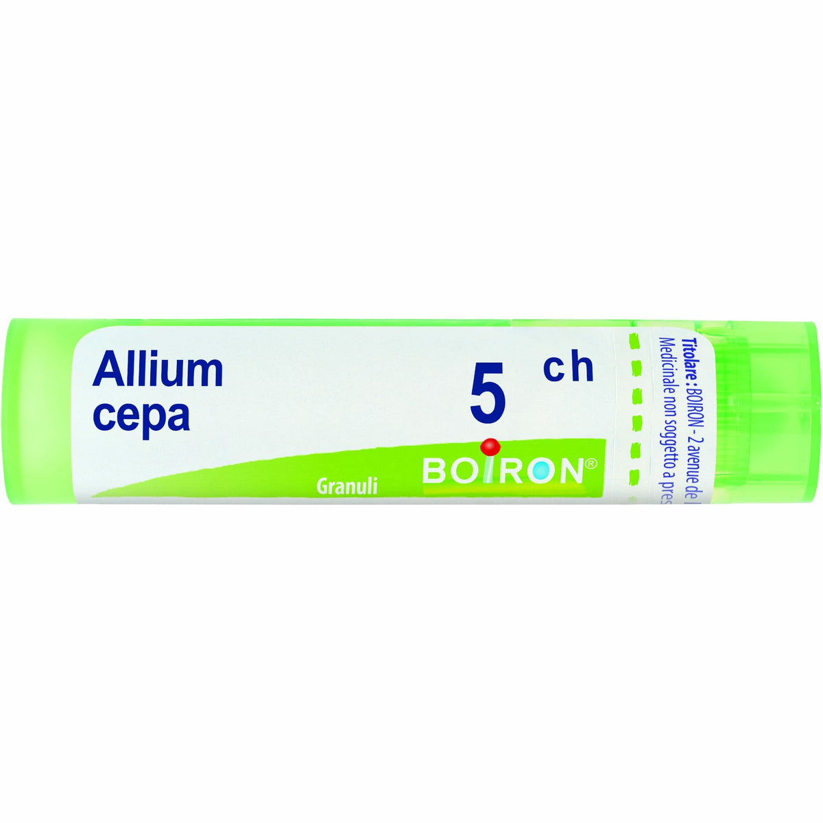 ALLIUM CEPA*5CH 80GR 4G