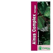 Alnus complex sciroppo 200 ml