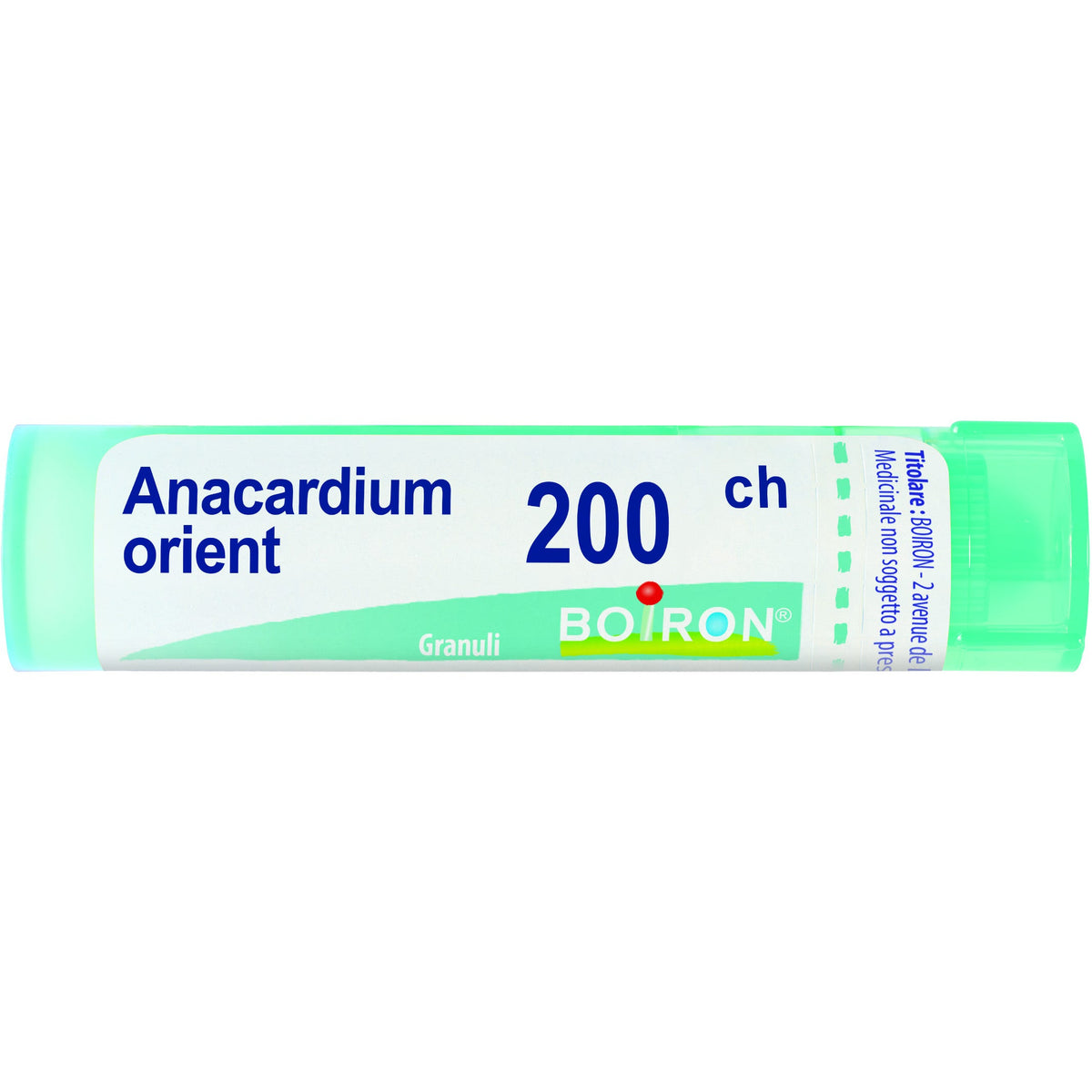 Anacardium orien 200ch gr