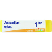 Anacardium orien mk gl