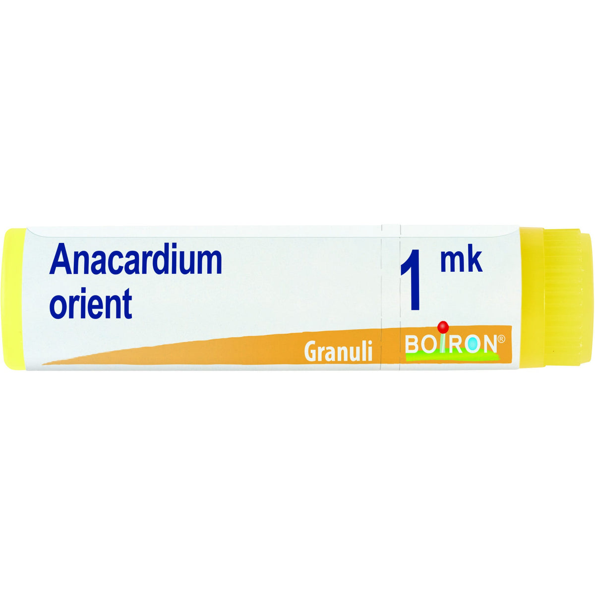 Anacardium orien mk gl