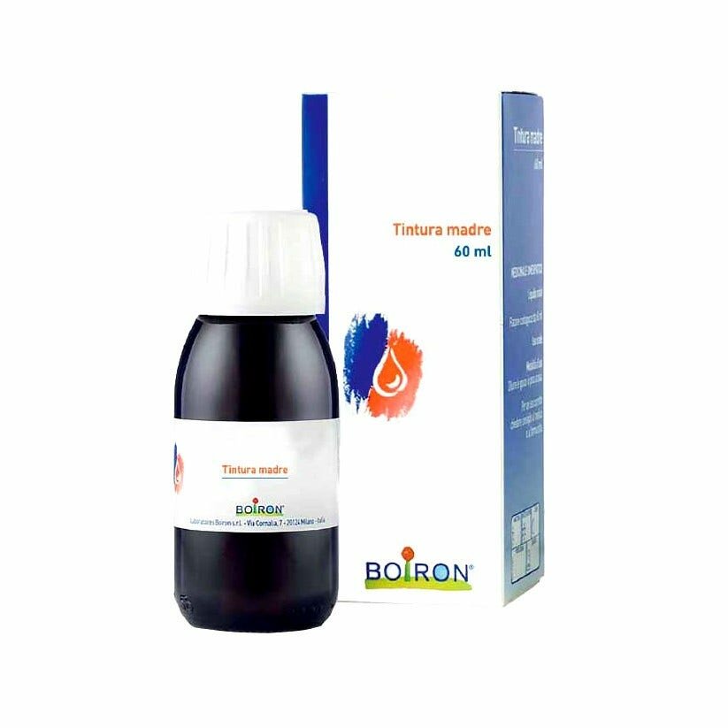 Angelica arcangelica 60ml tintura madre