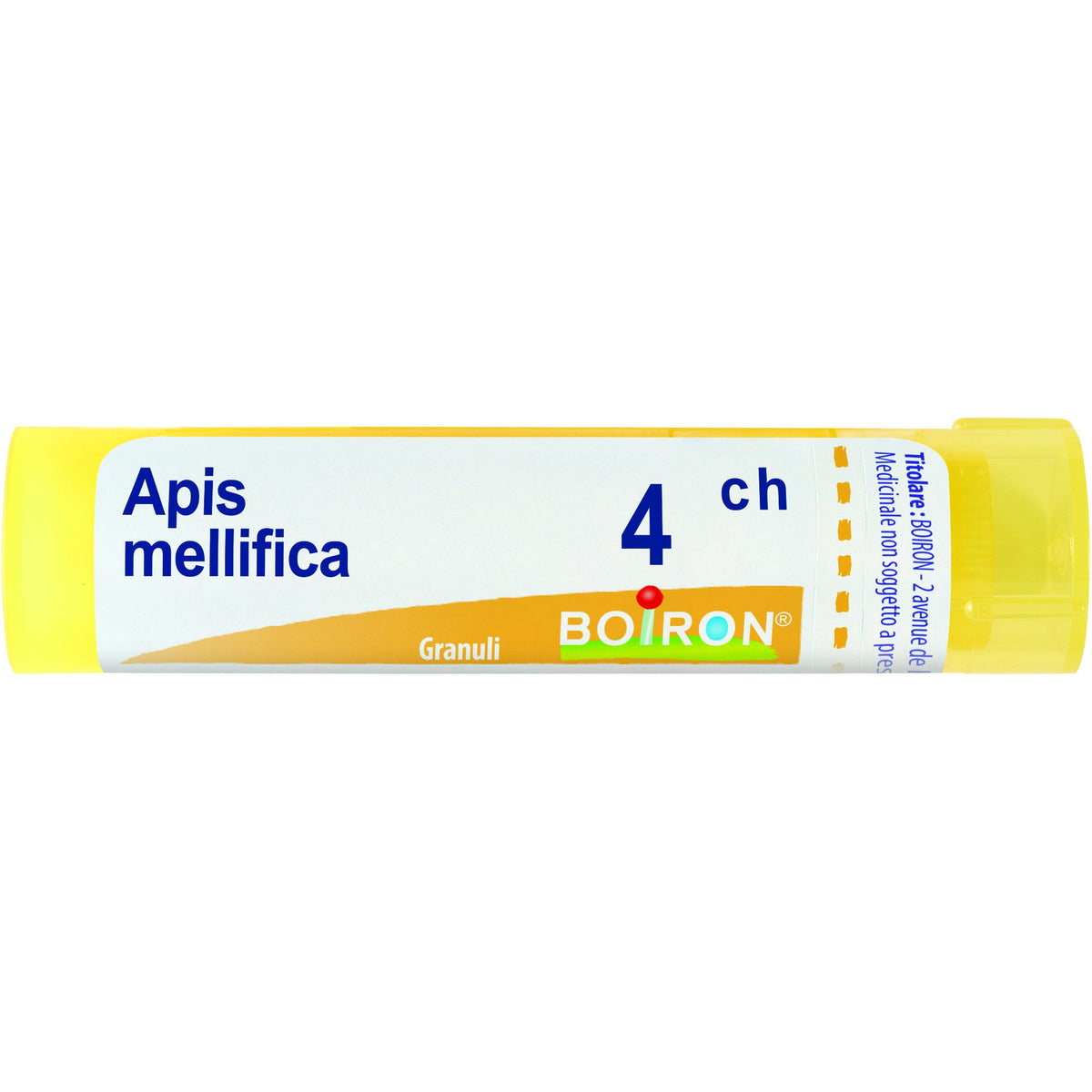 Apis mellif 4ch gr