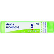 Aralia racemosa 5ch gr