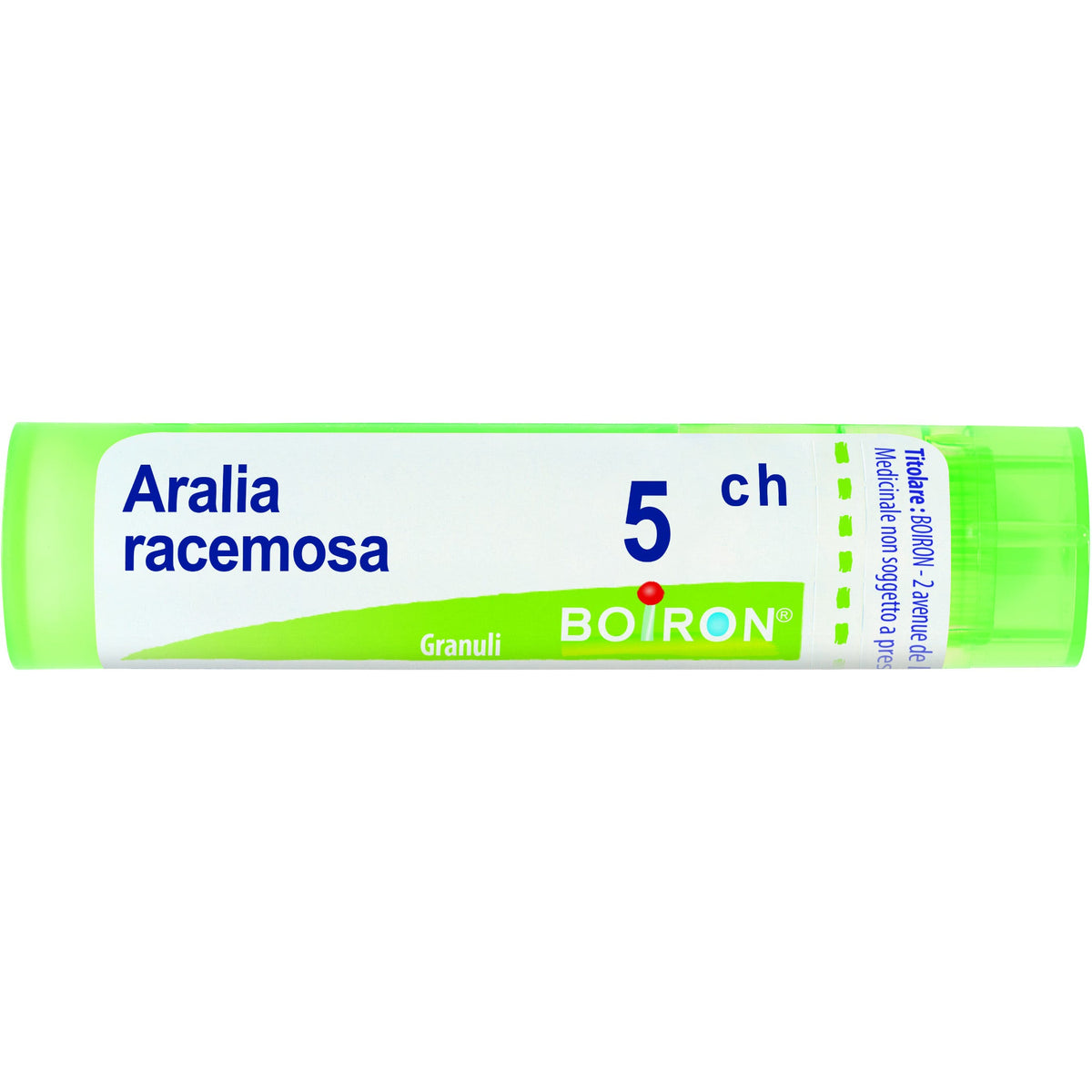 Aralia racemosa 5ch gr