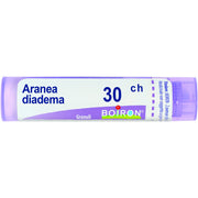 Aranea diadema 30ch gr
