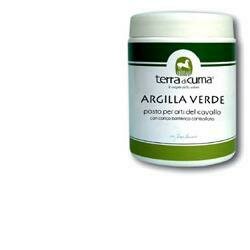 Argilla verde equini pasta 4kg