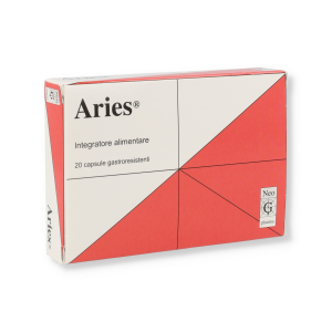 Aries fast 20 bustine stick