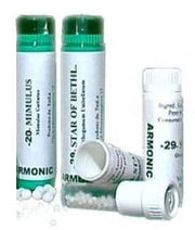 Armonic 13 gorse 70gr