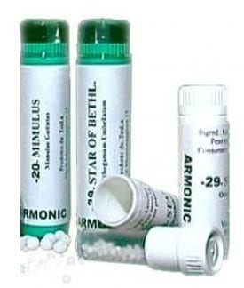 Armonic 13 gorse 70gr