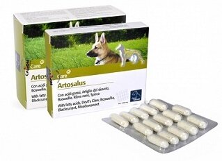 Artosalus compresse 30cpr